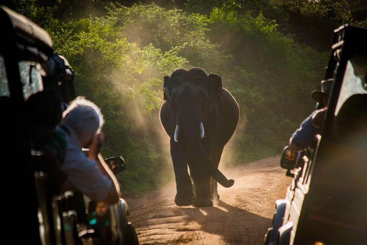 Gal Oya National Park